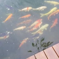 บรรยากาศ สวนผึ้งไฮแลนด์