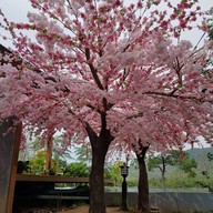 บรรยากาศ สวนผึ้งไฮแลนด์