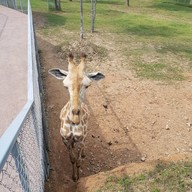 บรรยากาศ สวนผึ้งไฮแลนด์