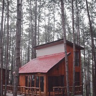 สวนป่าดอยบ่อหลวง