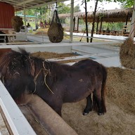 บรรยากาศ สวนผึ้งไฮแลนด์