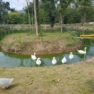 บรรยากาศ สวนผึ้งไฮแลนด์