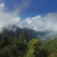 ทิวทัศน์ป่าสะเมิง