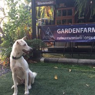 หน้าร้าน Gardenfarm2017