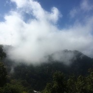 ทิวทัศน์ป่าสะเมิง