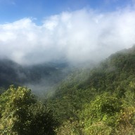 ทิวทัศน์ป่าสะเมิง