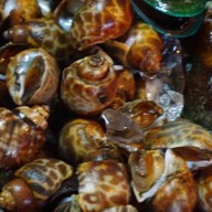 เพชรลำภูเนื้อย่าง-แจ่วฮ้อน