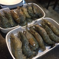 เมนูของร้าน กุ้งเต้นไม่ทันแดก ปลาส้มทอดกรอบ น้ำพริก กุ้งเต้นไม่ทันแดก รังสิต คลอง1