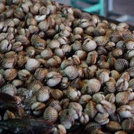 เพชรลำภูเนื้อย่าง-แจ่วฮ้อน