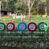 บรรยากาศ ไร่ไออุ่น