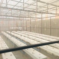 บรรยากาศ Kuboro Melon Farm Kuboro Melon Farm