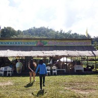 หน้าร้าน Strawberry Land