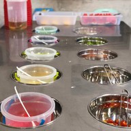 พุงช้างกุ้งกะทะ พังงา