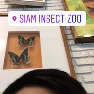 สวนสัตว์แมลงสยาม