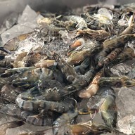 พุงช้างกุ้งกะทะ พังงา