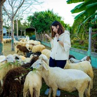 บรรยากาศ บ้านแกะนักขนาด