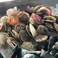 พุงช้างกุ้งกะทะ พังงา