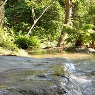 น้ำตกบัวตอง