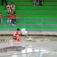 สวนเสือศรีราชา