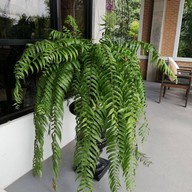Little  สวนผึ้ง