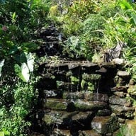 บรรยากาศ สถานีเกษตรหลวงอินทนนท์