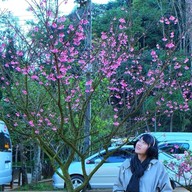 บรรยากาศ ดอยอ่างขาง