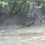 สปาโคลนร้อนคลองมะรุ่ย