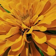 บรรยากาศ สวนทวีวนารมย์