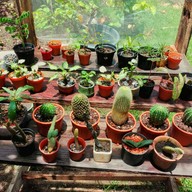 บรรยากาศ สวนทวีวนารมย์