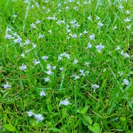 บรรยากาศ สวนทวีวนารมย์