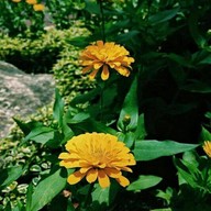 บรรยากาศ สวนทวีวนารมย์