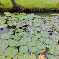 บรรยากาศ สวนทวีวนารมย์