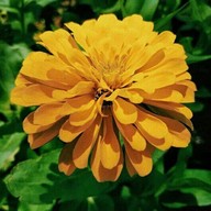 บรรยากาศ สวนทวีวนารมย์