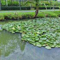 บรรยากาศ สวนทวีวนารมย์