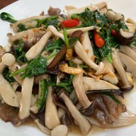 อาหารป่าปลาเขื่อน