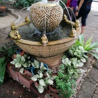 นมสดรถจี๊ป