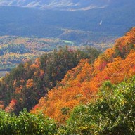 บรรยากาศ ป่าเปลี่ยนสี