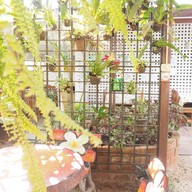 BAKE & BITE แก้วนวรัฐ