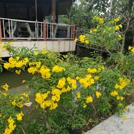 บรรยากาศ บ้านเจ้าจันทร์