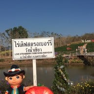 บรรยากาศ ไร่เลิฟสตอเบอร์รี่