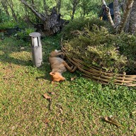 บรรยากาศ Charin Cafe