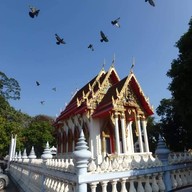 บรรยากาศ วัดช้างเผือก