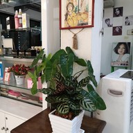 O2 Salon Cafe
