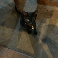 อิงปิงหมูกระทะ