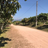 วันชนะวิว