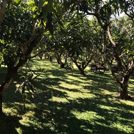 วันชนะวิว