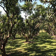 วันชนะวิว