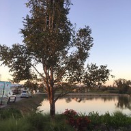 Aga Flowers at Aga Happy Farm