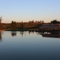 Aga Flowers at Aga Happy Farm