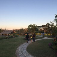 Aga Flowers at Aga Happy Farm